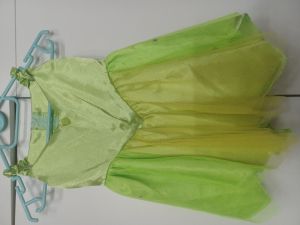Kids Costumes to Hire - Princess Fairy Green Dress - GIRL